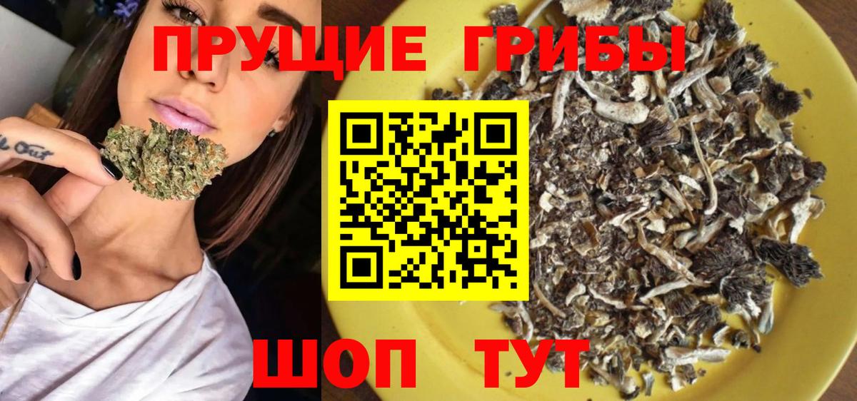 Псилоцибиновые грибы ЛСД Гатчина