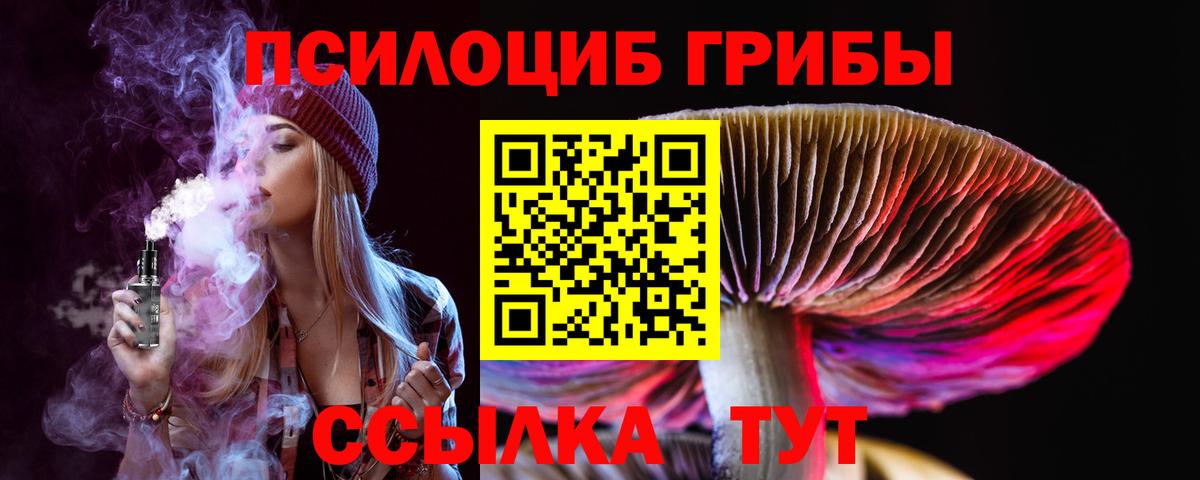 Гатчина  Псилоцибиновые грибы Magic Shrooms  Вход с VPN 